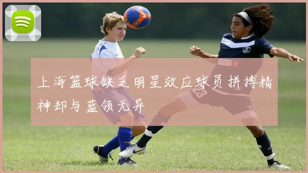 上海篮球缺乏明星效应球员拼搏精神却与蓝领无异
